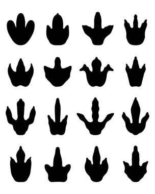 dinazorların ayak izleri