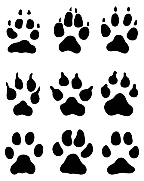 köpek pençeleri Yazdır 