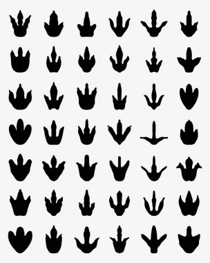 dinazorların ayak izleri