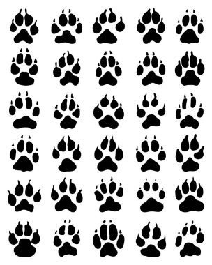 Beyaz arkaplanda köpek pençelerinin siyah baskısı
