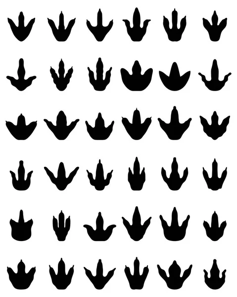 Empreintes Noires Dinosaures Sur Fond Blanc — Image vectorielle
