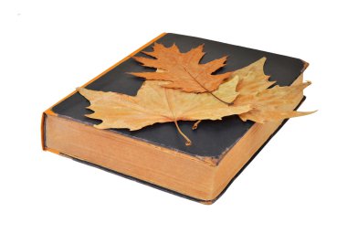 Antika kitap ve sonbahar yaprak