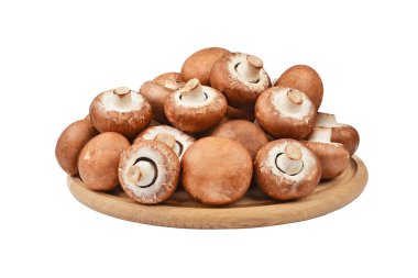 Champignon (gerçek mantar)