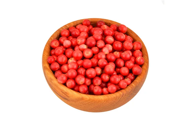 Arándanos rojos (Vaccinium vitis-idaea) —  Fotos de Stock