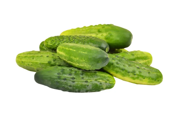 Zelená okurka okurka — Stock fotografie
