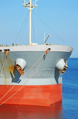 toplu taşıyıcı gemisi