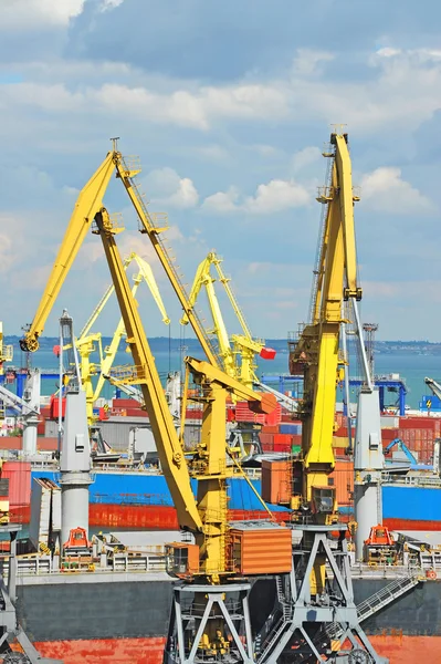 Bulk vrachtschip onder poort kraan — Stockfoto