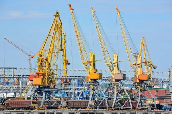 Grue à cargaison portuaire — Photo