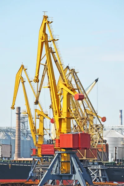 Port cargo crane — Stock Photo, Image