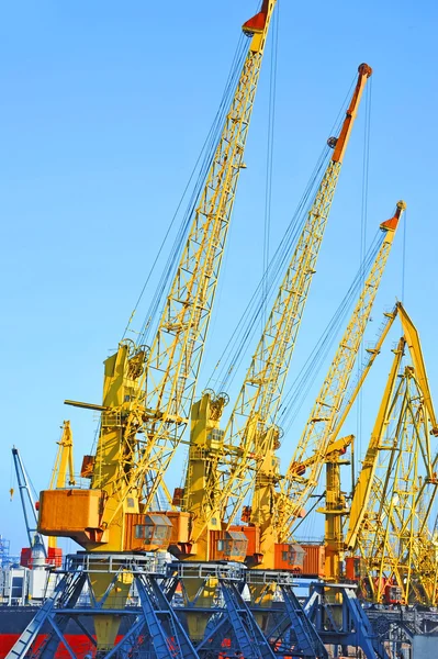 Grúa de carga portuaria — Foto de Stock