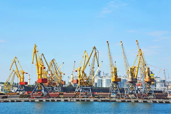 Port cargo crane — Stock Photo, Image