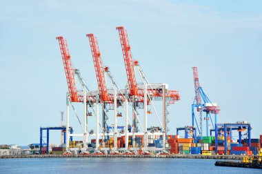 bağlantı noktası kargo vinç ve konteyner