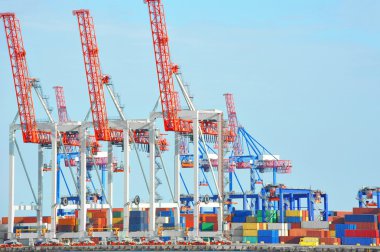 bağlantı noktası kargo vinç ve konteyner