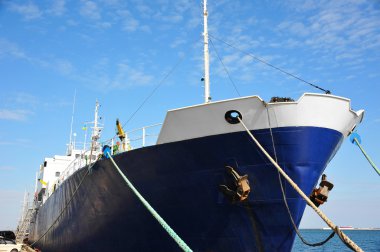 toplu taşıyıcı gemisi