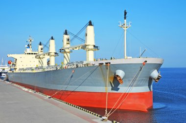 toplu taşıyıcı gemisi