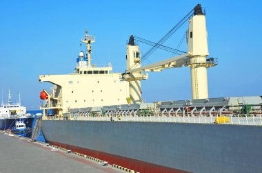 toplu taşıyıcı gemisi