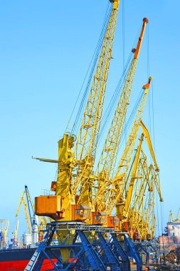 bağlantı noktası kargo vinç