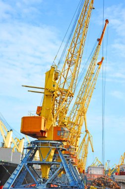 bağlantı noktası kargo vinç