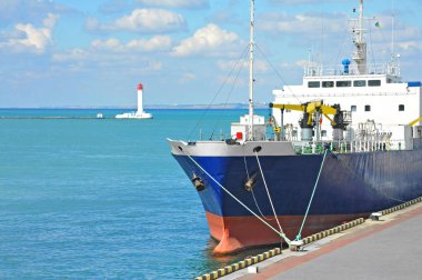 toplu taşıyıcı gemisi