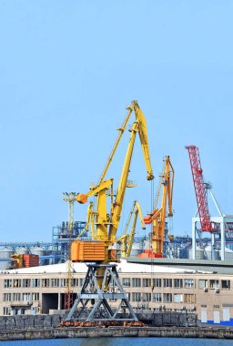 bağlantı noktası kargo vinç