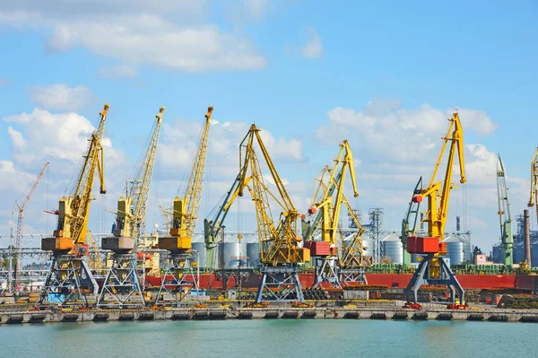 Grue à cargaison portuaire — Photo