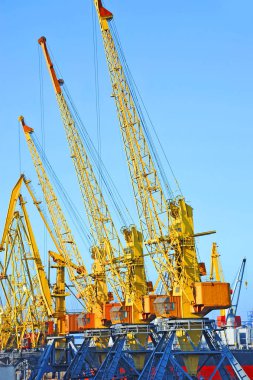 bağlantı noktası kargo vinç