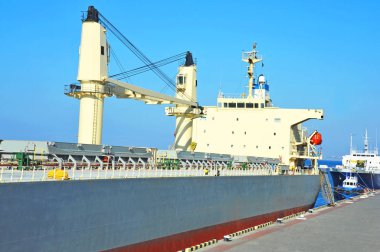 toplu taşıyıcı gemisi