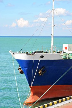 toplu taşıyıcı gemisi