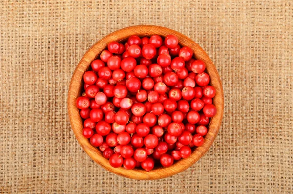 Arándanos rojos (Vaccinium vitis-idaea) —  Fotos de Stock