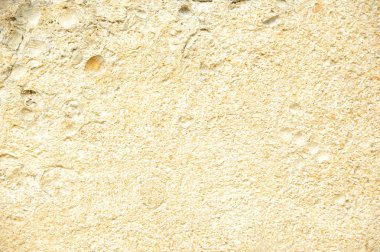 Kabuk kaya arka plan