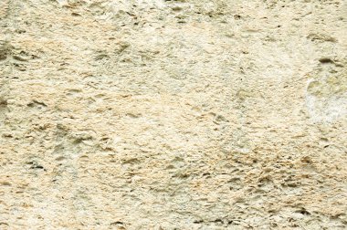 Kabuk kaya arka plan