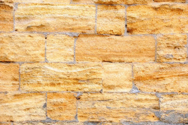 シェルの岩の壁の背景 — ストック写真