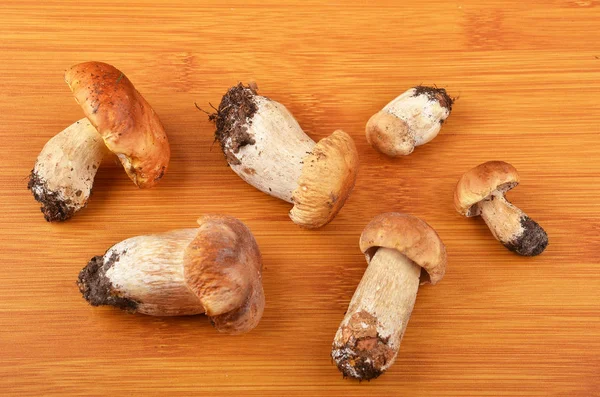 Boletus edulis mushroom on wooden board — Stock Photo, Image