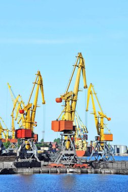 bağlantı noktası kargo vinç