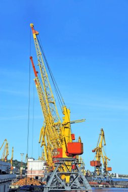 bağlantı noktası kargo vinç