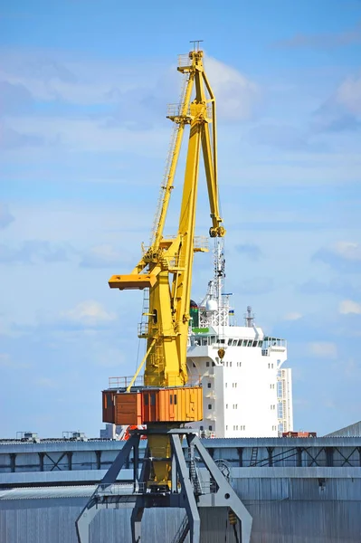 Grue à cargaison portuaire — Photo