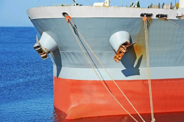 toplu taşıyıcı gemisi