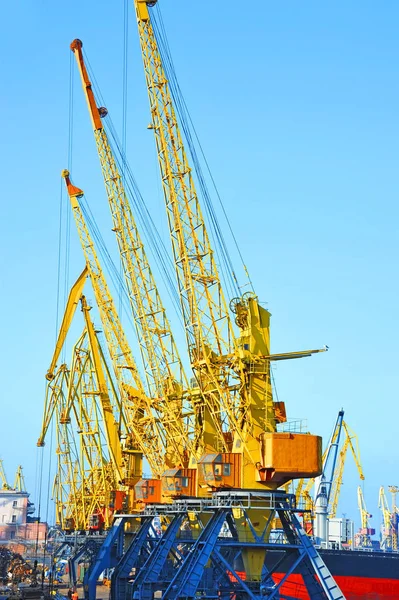 Grue à cargaison portuaire — Photo