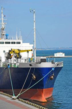 toplu taşıyıcı gemisi