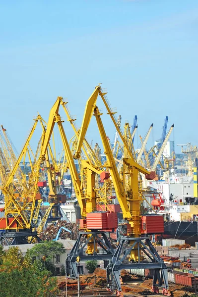 Port cargo crane and metal — Stock Photo, Image