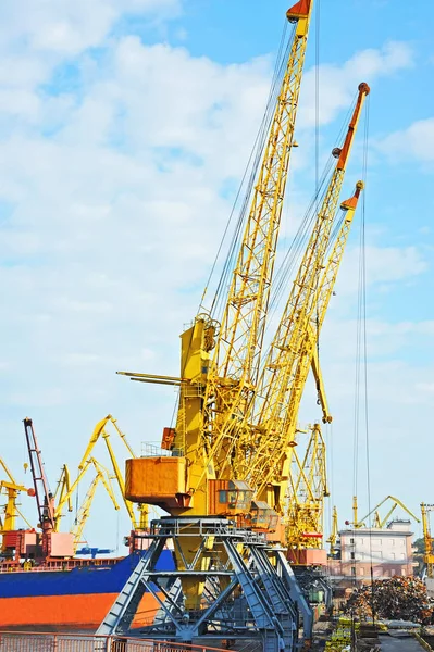 Bulk cargo ship under port crane Stock Image