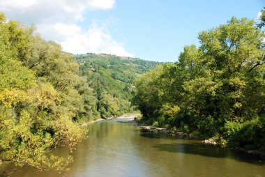 Yeşil ağaç ve nehir