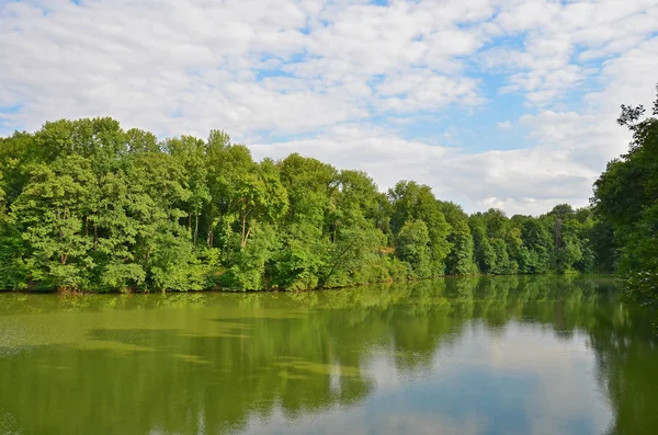 Зелений пейзаж з річкою та деревом — стокове фото