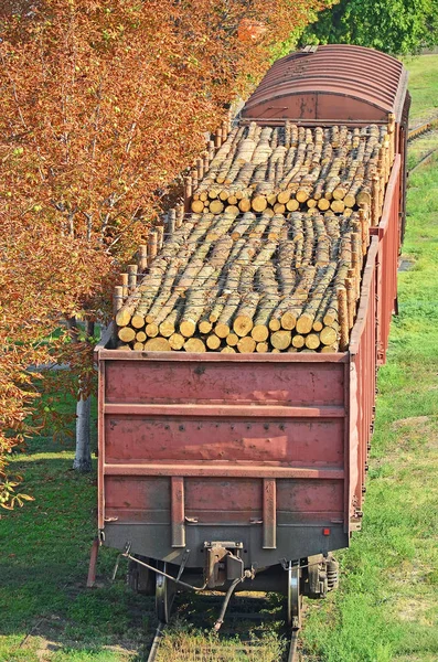 Ronde hout over spoorweg — Stockfoto