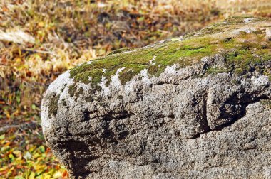 Kayalık Peyzaj Park