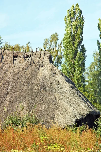 Oude schuur met een stro dak — Stockfoto
