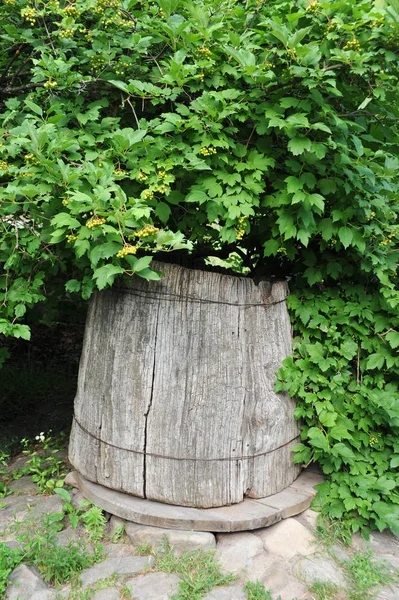 Old wooden well under viburnum — Stock Photo, Image