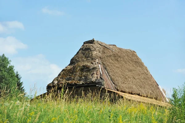 Alte karpatische Hütte im Wald — Stockfoto