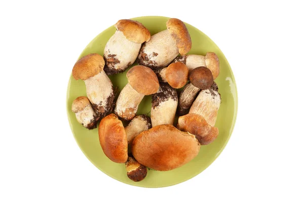 Boletus edulis svamp i lera plattan — Stockfoto