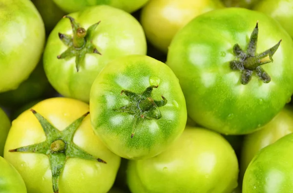 Grüne Tomate, aus nächster Nähe — Stockfoto